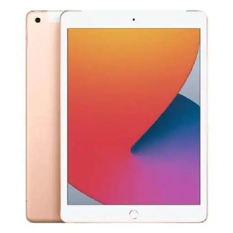 iPad 8